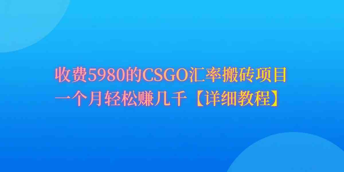 （9776期）CSGO装备搬砖，月综合收益率高达60%，你也可以！-热爱者网创