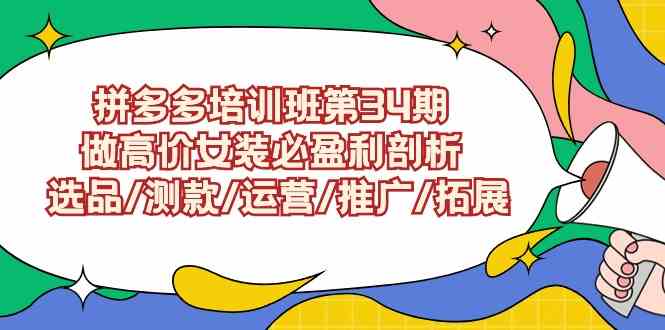 （9333期）拼多多培训班第34期：做高价女装必盈利剖析  选品/测款/运营/推广/拓展-热爱者网创