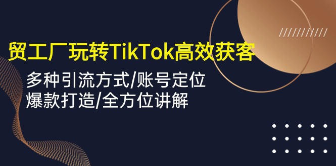 （10302期）外贸工厂玩转TikTok高效获客，多种引流方式/账号定位/爆款打造/全方位讲解-热爱者网创