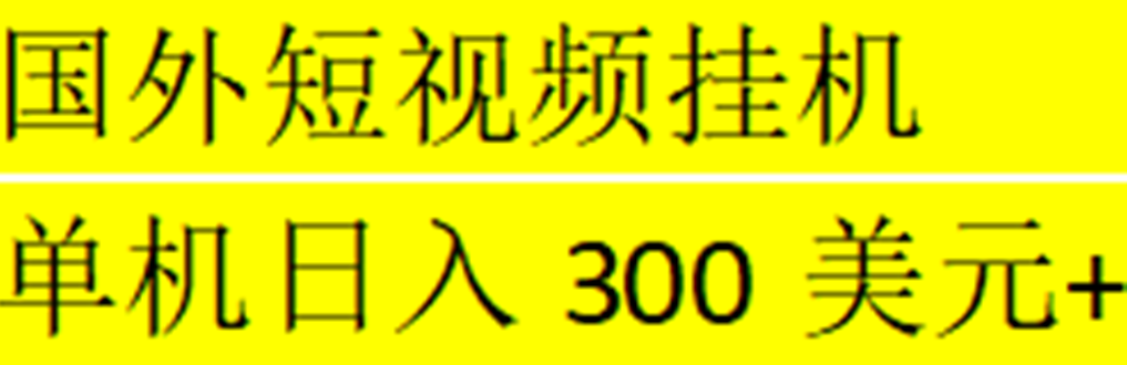 海外暴力短视频挂机全自动撸美金 单机日入300美元+【脚本免费+一对一指导】-热爱者网创