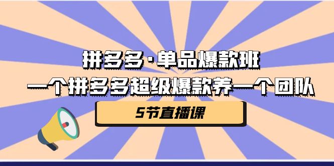 拼多多·单品爆款班，一个拼多多超级爆款养一个团队（5节直播课）-热爱者网创