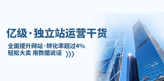 亿级·独立站运营干货：全面提升网站·转化率超过4%，轻松大卖 用数据说话-热爱者网创