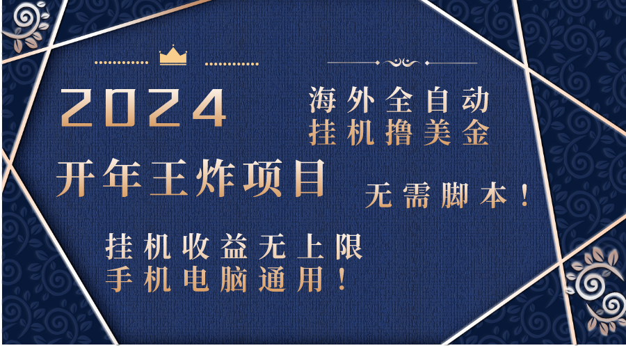 2024海外全自动挂机撸美金项目！手机电脑均可，无需脚本，收益无上限！-热爱者网创