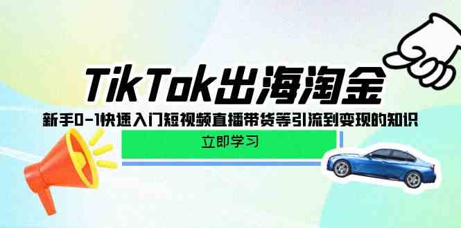 TikTok出海淘金，新手0-1快速入门短视频直播带货等引流到变现的知识-热爱者网创