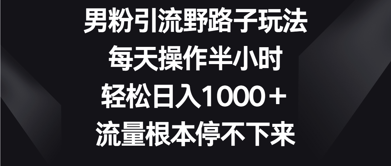 男粉引流野路子玩法，每天操作半小时轻松日入1000＋，流量根本停不下来-热爱者网创