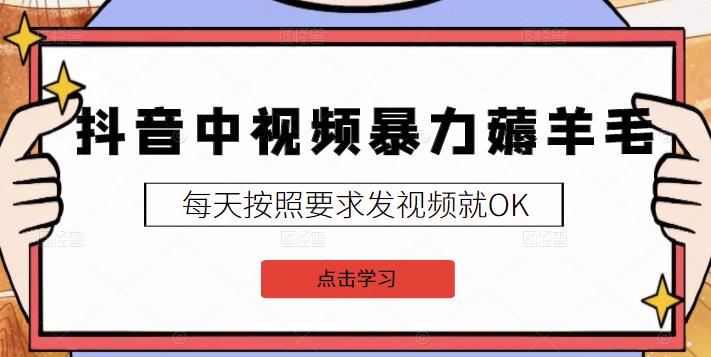 2022抖音中视频暴力薅羊毛白嫖项目：新号每天20块，老号几天几百块，可多号￼-热爱者网创