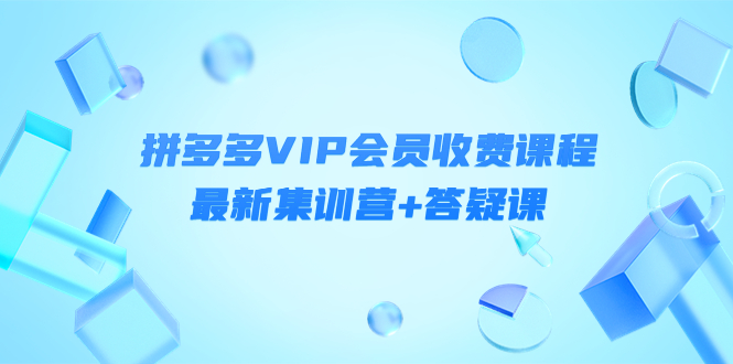 某社群·拼多多VIP会员收费课程，最新集训营+答疑课-价值3299元￼-热爱者网创