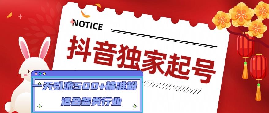 抖音独家起号，一天引流500+精准粉，适合各类行业（9节视频课）-热爱者网创