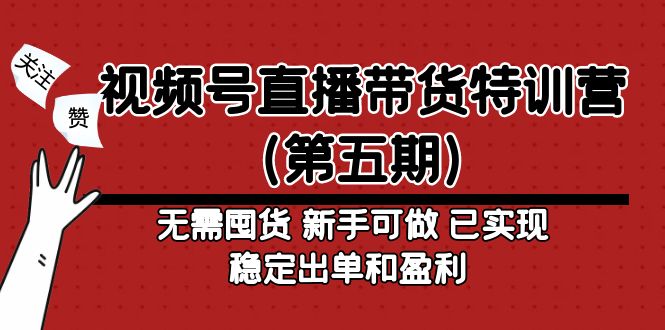 视频号直播带货特训营（第五期）无需囤货 新手可做 已实现稳定出单和盈利-热爱者网创