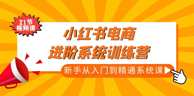 小红书电商进阶系统训练营：新手从入门到精通系统课（21节视频课）-热爱者网创