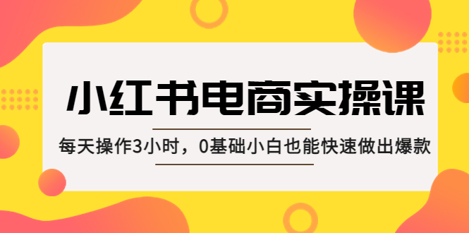 小红书·电商实操课：每天操作3小时，0基础小白也能快速做出爆款！-热爱者网创