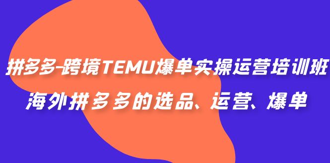 拼多多-跨境TEMU爆单实操运营培训班，海外拼多多的选品、运营、爆单-热爱者网创