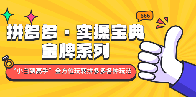 拼多多·实操宝典：金牌系列“小白到高手”带你全方位玩转拼多多各种玩法-热爱者网创