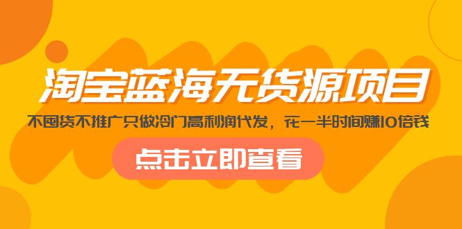 淘宝蓝海无货源项目，不囤货不推广只做冷门高利润代发，花一半时间赚10倍钱-热爱者网创