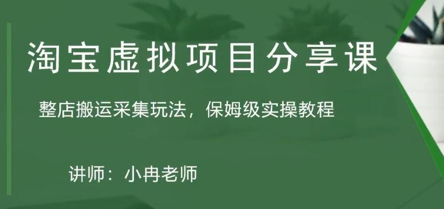 淘宝虚拟整店搬运采集玩法分享课：整店搬运采集玩法，保姆级实操教程-热爱者网创