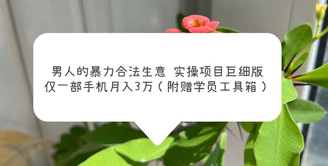 男人的暴力合法生意实操项目巨细版：仅一部手机月入3w（附赠学员工具箱）-热爱者网创