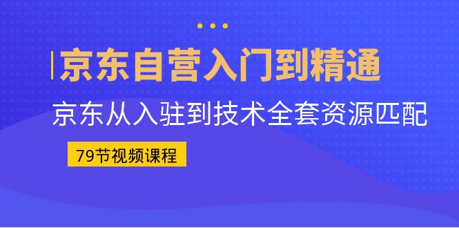 京东自营入门到精通：京东从入驻到技术全套资源匹配（79节课）-热爱者网创