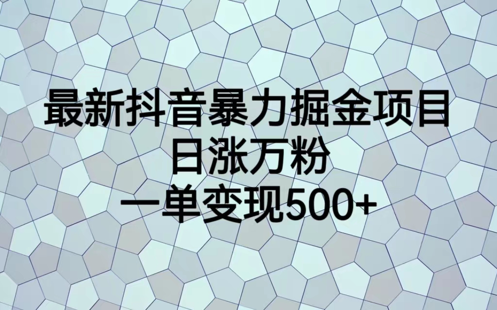 最新抖音暴力掘金项目，日涨万粉，一单变现500+-热爱者网创