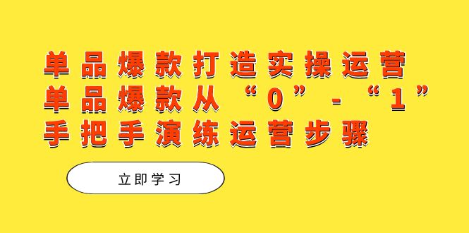 单品爆款打造实操运营，单品爆款从“0”-“1”手把手演练运营步骤-热爱者网创