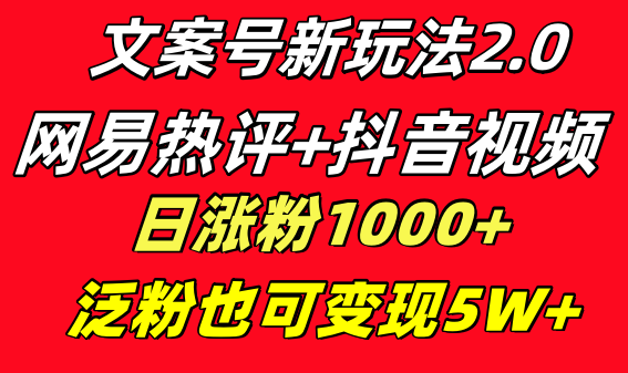 文案号新玩法 网易热评+抖音文案 一天涨粉1000+ 多种变现模式 泛粉也可变现-热爱者网创