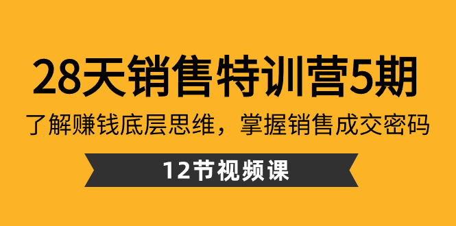 28天·销售特训营5期：了解赚钱底层思维，掌握销售成交密码（12节课）-热爱者网创