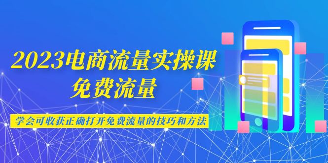 2023电商流量实操课-免费流量，学会可收获正确打开免费流量的技巧和方法-热爱者网创