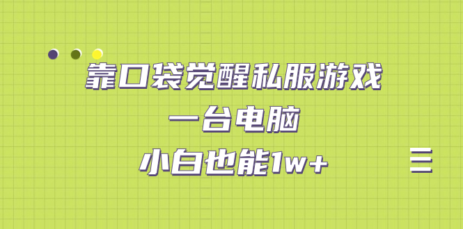 靠口袋觉醒私服游戏，一台电脑，小白也能1w+（教程+工具+资料）-热爱者网创