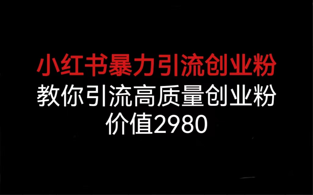 小红书暴力引流创业粉，教你引流高质量创业粉，价值2980-热爱者网创