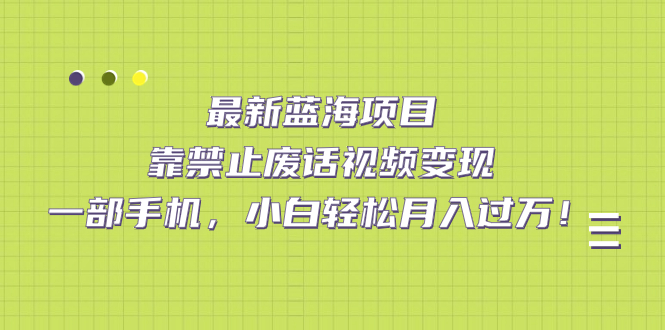 最新蓝海项目，靠禁止废话视频变现，一部手机，小白轻松月入过万！-热爱者网创