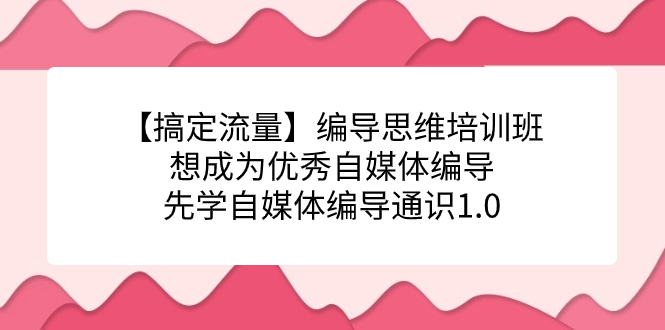 【搞定流量】编导思维培训班，想成为优秀自媒体编导先学自媒体编导通识1.0-热爱者网创