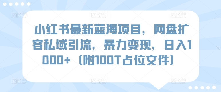 小红书最新蓝海项目，网盘扩容私域引流，暴力变现，日入1000+（附100T占位文件）-热爱者网创