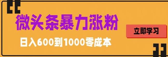 微头条暴力涨粉技巧搬运文案就能涨几万粉丝，简单0成本，日赚600-热爱者网创