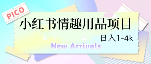 最新小红书情趣用品项目，日入1-4k-热爱者网创