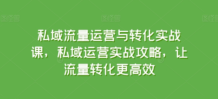 私域流量运营与转化实战课，私域运营实战攻略，让流量转化更高效-热爱者网创