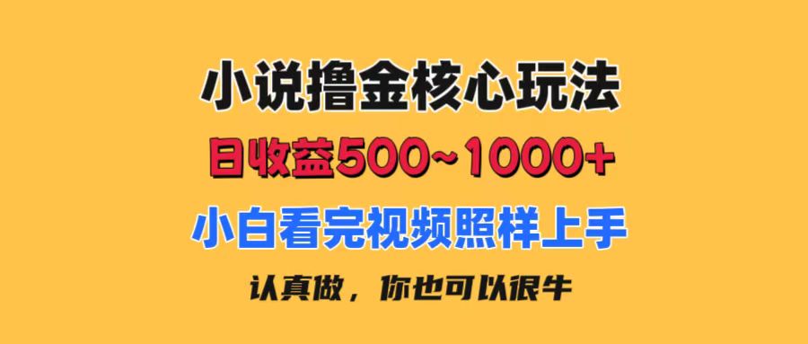 小说撸金核心玩法，日收益500-1000+，小白看完照样上手，0成本有手就行-热爱者网创