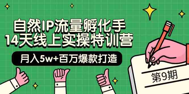 （9881期）自然IP流量孵化手 14天线上实操特训营【第9期】月入5w+百万爆款打造 (74节)-热爱者网创