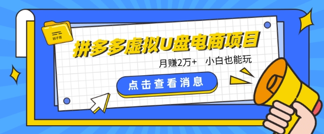 拼多多虚拟U盘电商红利项目：月赚2万+，新手小白也能玩-热爱者网创