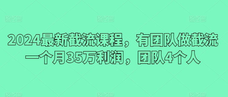 2024最新截流课程，有团队做截流一个月35万利润，团队4个人-热爱者网创