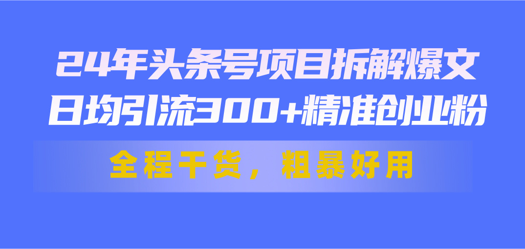 24年头条号项目拆解爆文，日均引流300+精准创业粉，全程干货，粗暴好用-热爱者网创