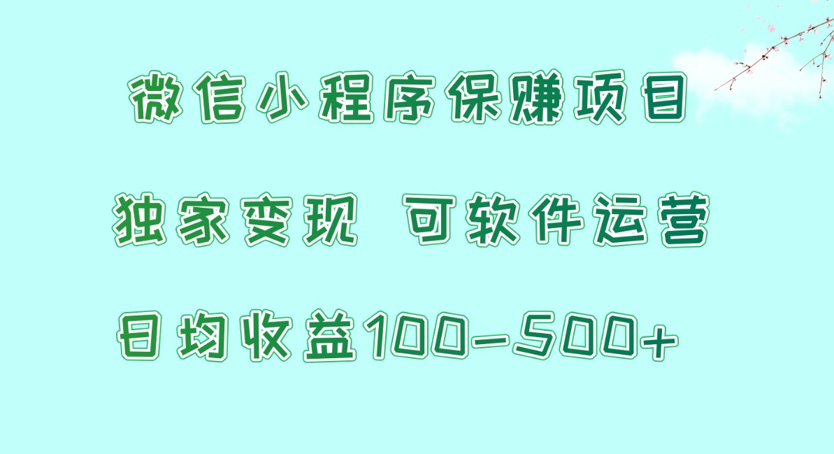 微信小程序保赚项目，日均收益100~500+，独家变现，可软件运营-热爱者网创