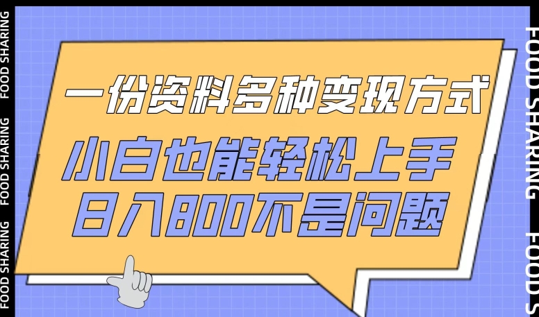 一份资料多种变现方式，小白也能轻松上手，日入800不是问题-热爱者网创