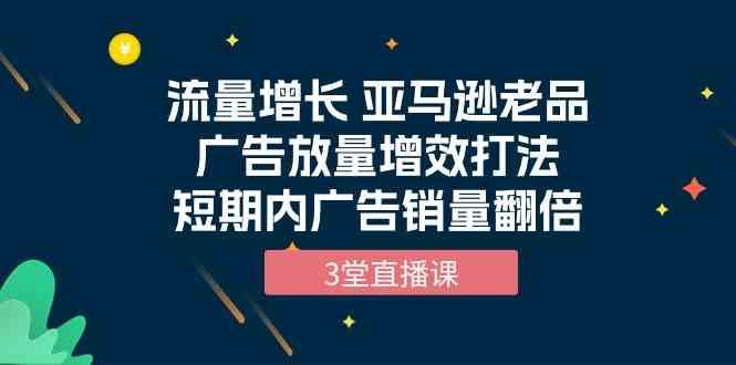 （10112期）流量增长 亚马逊老品广告放量增效打法，短期内广告销量翻倍（3堂直播课）-热爱者网创