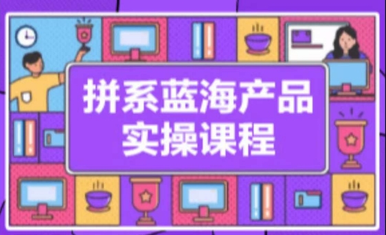 拼系冷门蓝海产品实操课程，从注册店铺到选品上架到流量维护环环相扣-热爱者网创