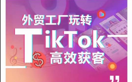 外贸工厂玩转TikTok高效获客，多种引流方式与账号定位技巧，拆解爆款短视频打造成功案例-热爱者网创