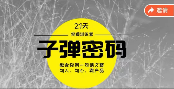 《子弹密码训练营》用一句话文案勾人勾心卖产品，21天学到顶尖文案大师策略和技巧-热爱者网创