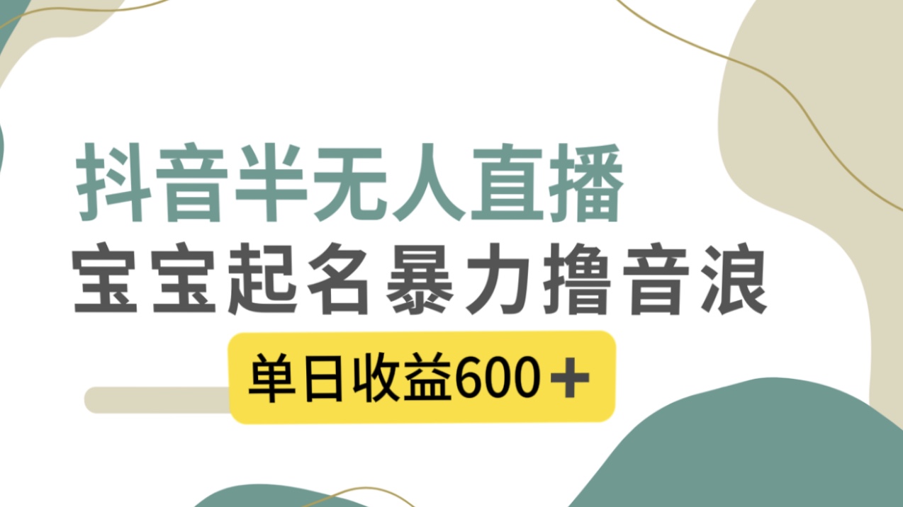 抖音半无人直播，宝宝起名，暴力撸音浪，单日收益600+-热爱者网创