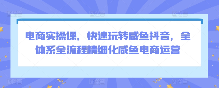 电商实操课，快速玩转咸鱼抖音，全体系全流程精细化咸鱼电商运营-热爱者网创