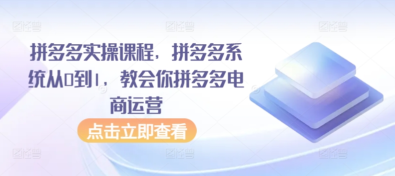 拼多多实操课程，拼多多系统从0到1，教会你拼多多电商运营-热爱者网创