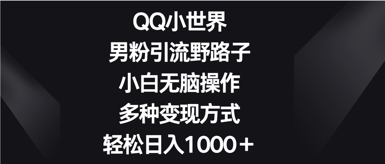 QQ小世界男粉引流野路子，小白无脑操作，多种变现方式轻松日入1000＋-热爱者网创