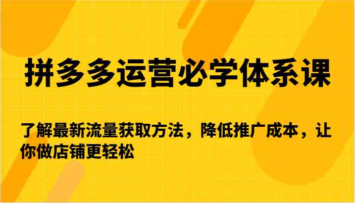 拼多多运营必学体系课-了解最新流量获取方法，降低推广成本，让你做店铺更轻松-热爱者网创